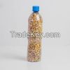 Groundnut seed