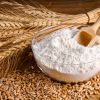 Refined Wheat Flour 