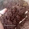 COCOPITH COCOPEAT COIR...