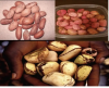 Kolanuts