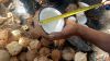White Copra