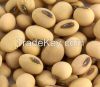 Soybeans