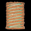 Coco Fiber