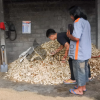 Corn Cob Meal for Animal Feed Grade A