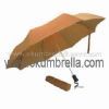 folding umbrella