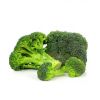 best fresh broccoli