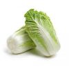 fresh cabbage on sale