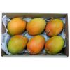 fresh mango for sell a...