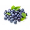 blueberry fruits for s...