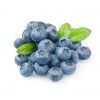 blueberry fruits for s...