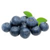 blueberry fruits for s...