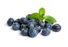 blueberry fruits for s...