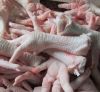 chicken feet and paws suppliers canada