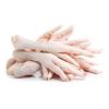 chicken feet and paws suppliers dubai