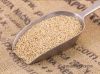 sesame seed supplier in pakistan