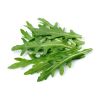 arugula leaf suppliers germany