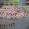 Frozen Chicken Feet/Paws Export to Thailand