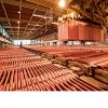 Electrolytic Copper Ca...
