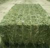 Rhodes Grass Hay