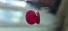 Natural Mozambique Ruby unheated 