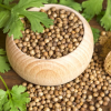 Coriander