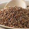 Lentils