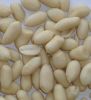 blanched peanut