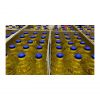 Bulk supply Copper Cat...