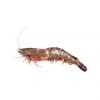 Buy premium-quality Shrimps in large quantities at the best rates