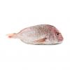 High-protein Frozen Red Snapper for seafood distributors