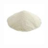 Nutrient-rich whole milk powder for health-conscious consumers