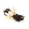 Cured vanilla beans available in large quantities for wholesale supply