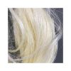 Long sisal fiber for textile and fabric industries