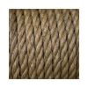 Long sisal fiber for textile and fabric industries