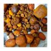 High-quality natural Ox Gallstones for pharmaceutical use