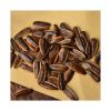 Black oil sunflower seeds for bird feed and pet nutrition