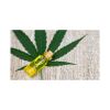 High-quality seed oil for cosmetics and hair care products