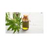High-quality seed oil for cosmetics and hair care products