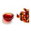 Fresh and natural palm oil for frying and baking