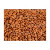 Natural Almond Nuts for dairy alternatives and nut butter production