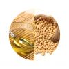 Bottled and bulk soybean oil for international markets