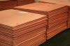 99.99% pure copper cathode for export