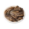 Black oil sunflower seeds for bird feed and pet nutrition