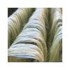 Processed and raw sisa...
