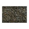 Premium Green Lentils available at wholesale prices High-quality Green Lentils