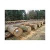 Oak timber logs for fl...