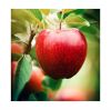 Fresh red apples for s...