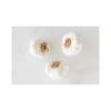 Fresh garlic cloves available for bulk supply at low prices