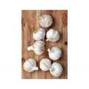 Fresh garlic cloves available for bulk supply at low prices