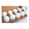 Fresh table eggs for sale in bulk at a wholesale price